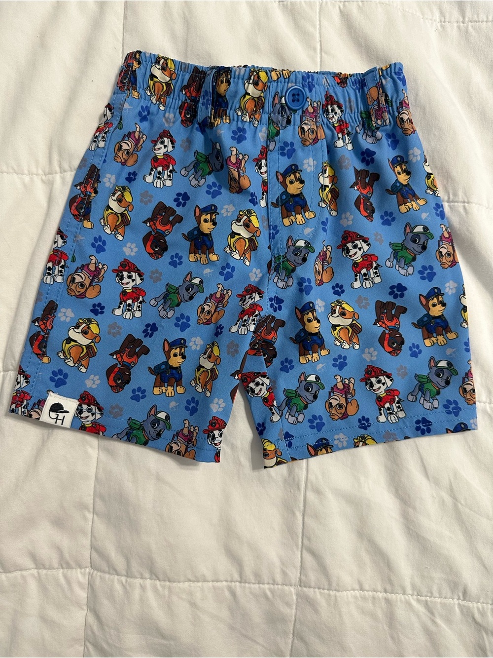 Blue Paw Patrol Print Kids Shorts